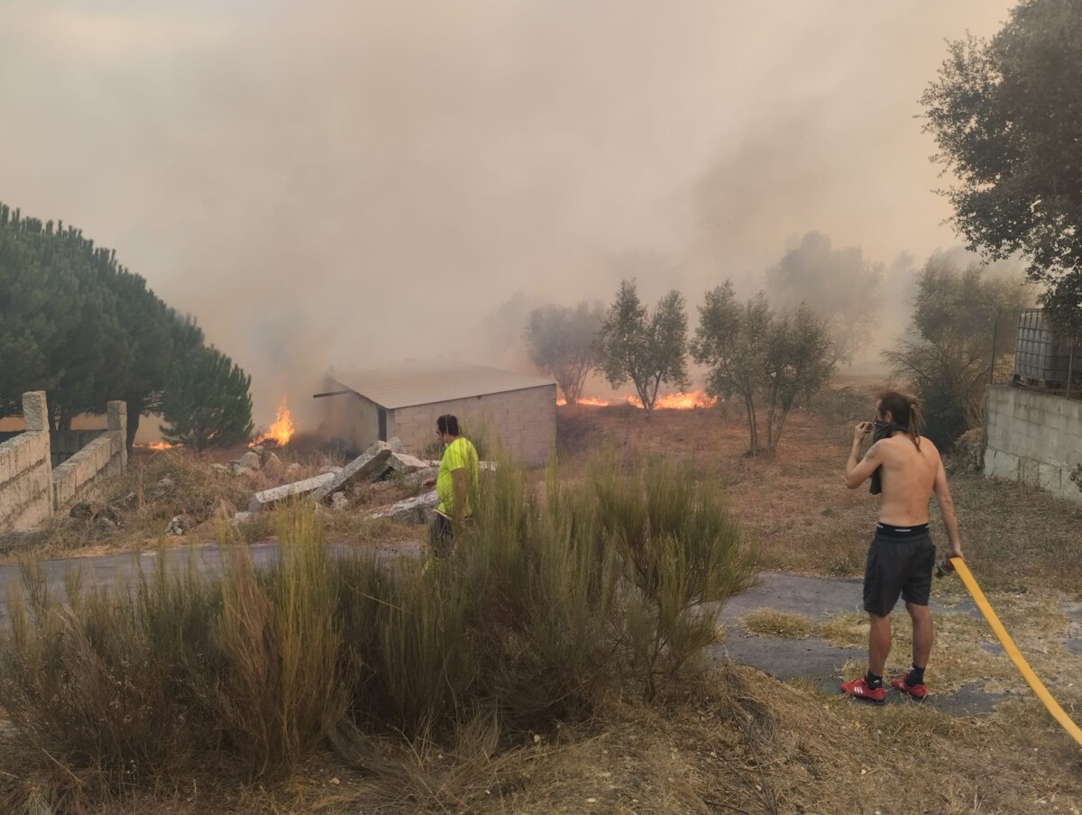 incêndio nelas 3