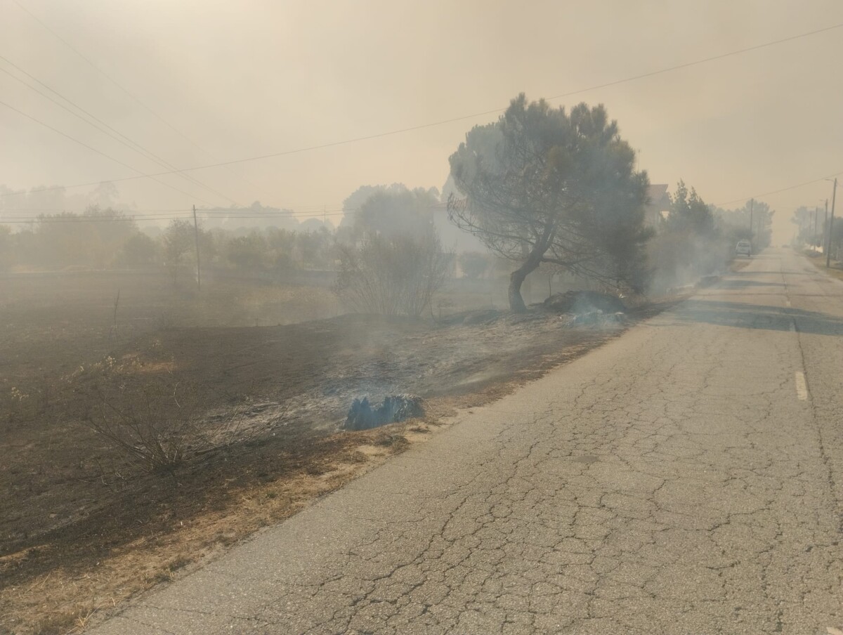 incêndio nelas