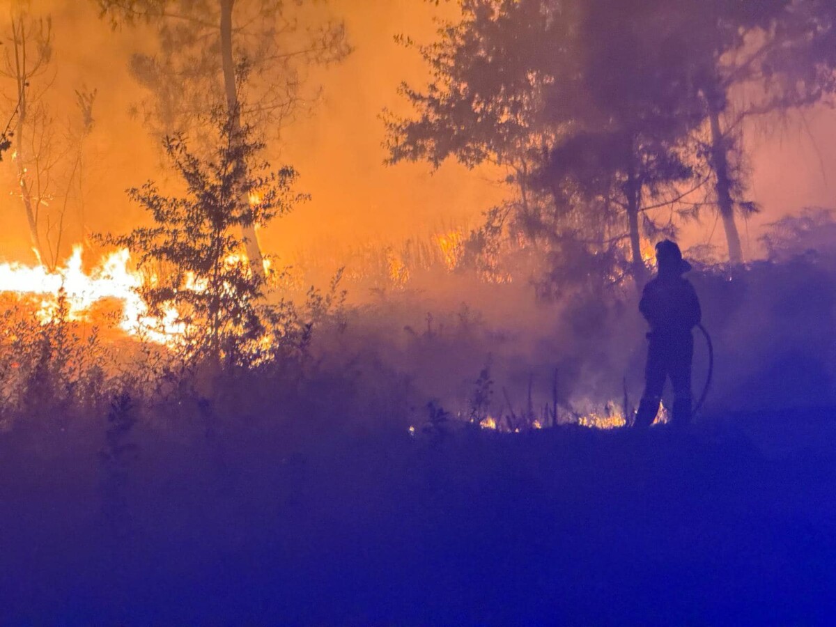 incêndio são pedro do sul