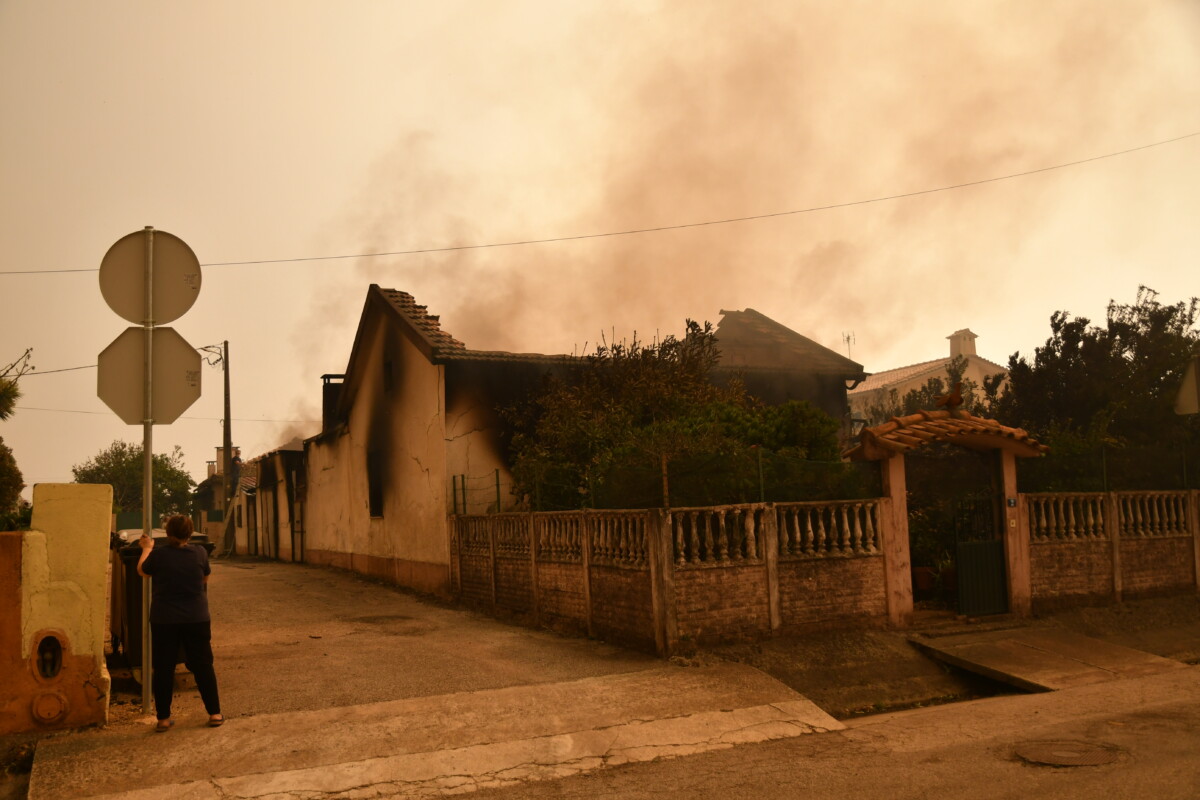 incêndios Albergaria a velha