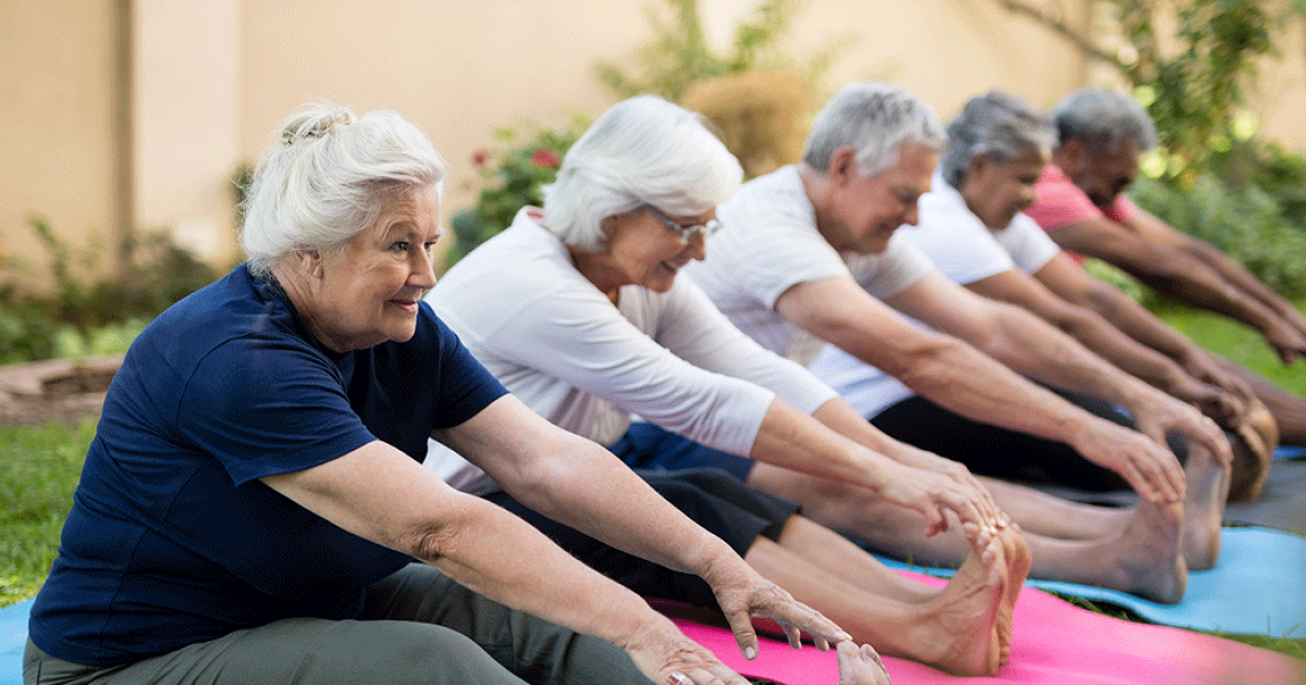 Artigo seniores beneficios exercicio fisico