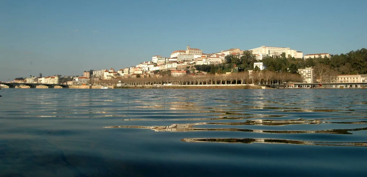 Coimbra net