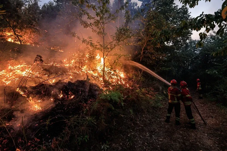 Incêndio vila pouca