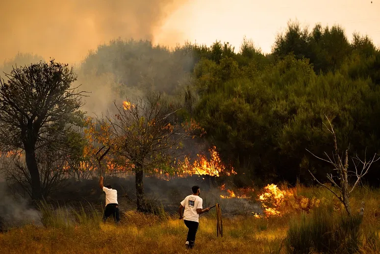 Incendios lusa