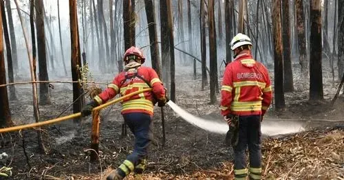 Incendios eduardo pina