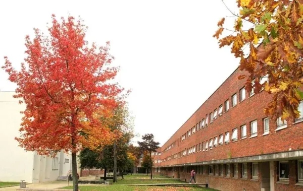 Universidade de aveiro 2