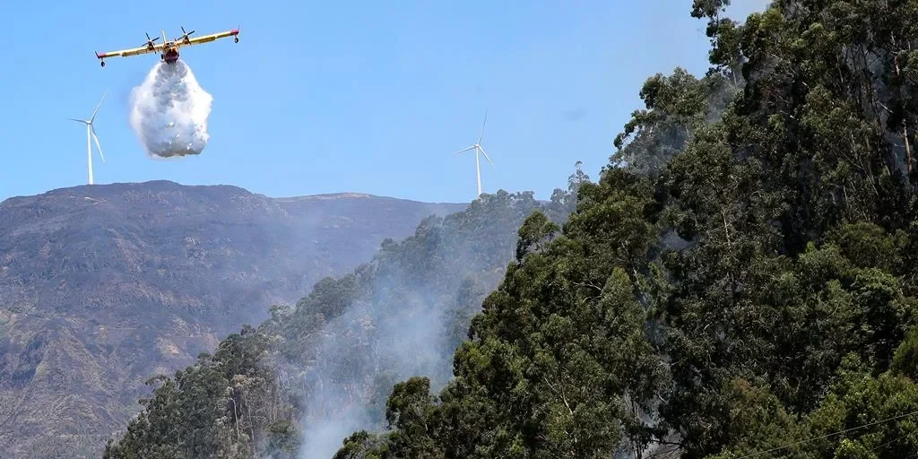 Avião Incêndio Lusa 2