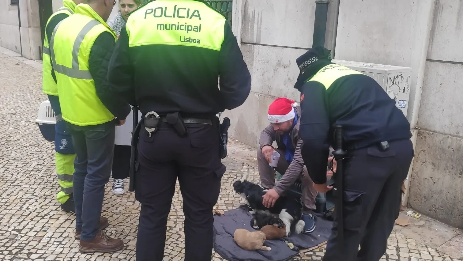 Provedoria Dos Animais De Lisboa Denuncia