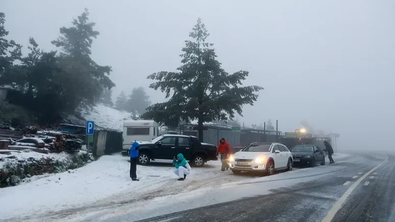 Serra Da Estrela Lusa 2