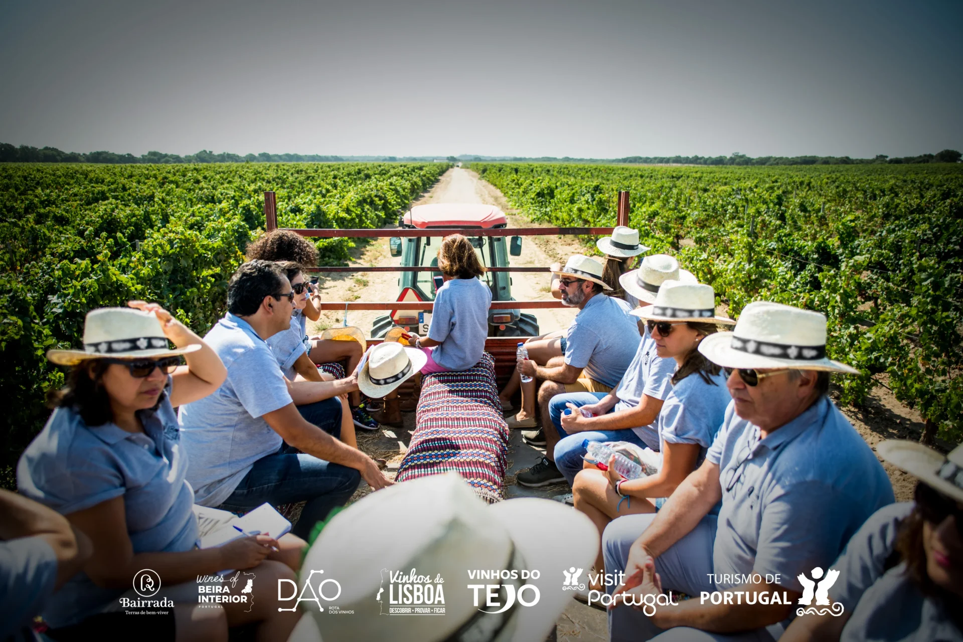 Enoturismo Centro De Portugal Fitur