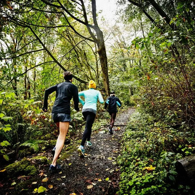 Associação De Atletismo De Viseu Realiza Circuito Distrital De Viseu Trail Running Foto Dr