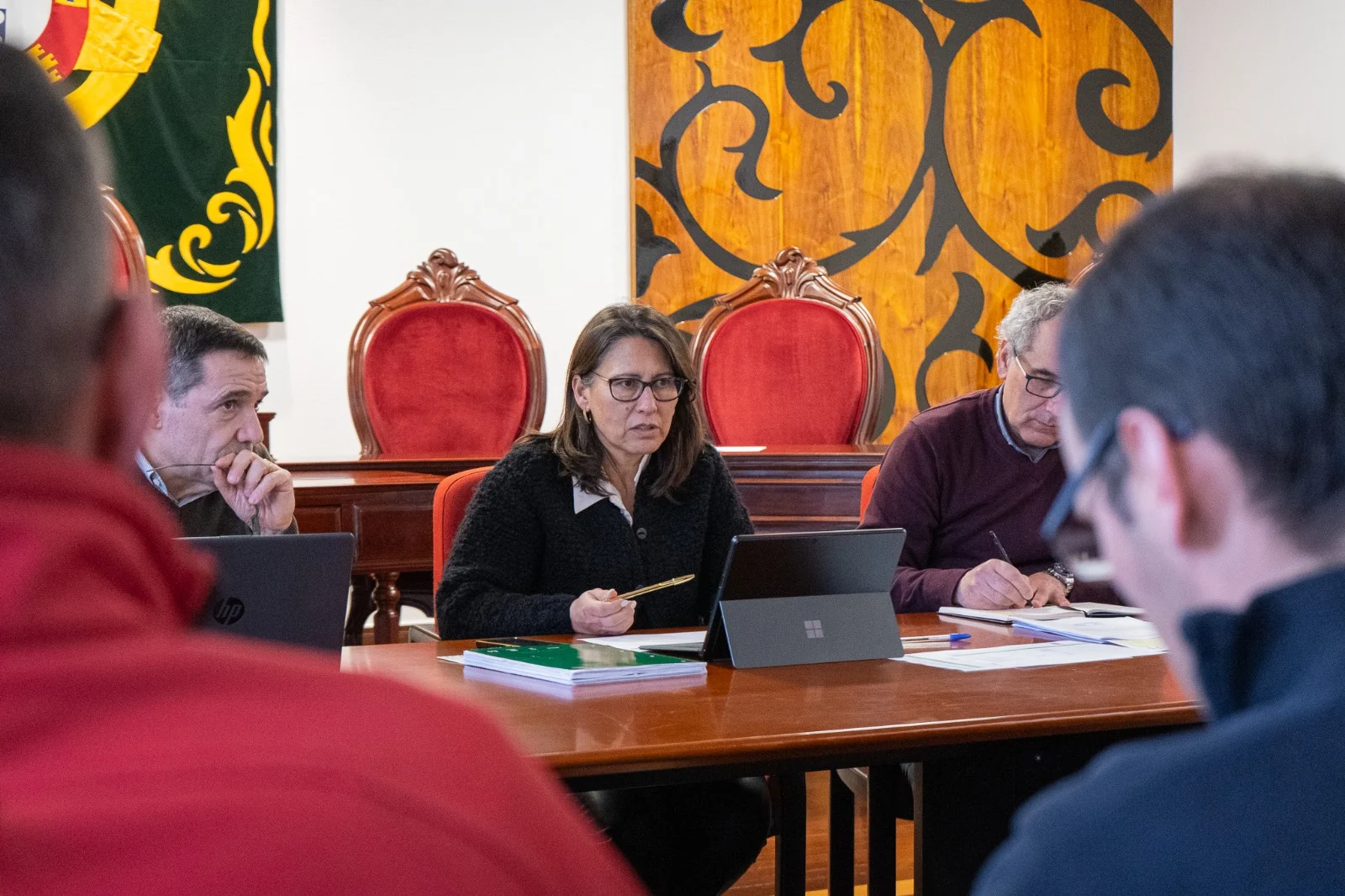 Comissão Municipal De Tondela Da Defesa Da Floresta 1