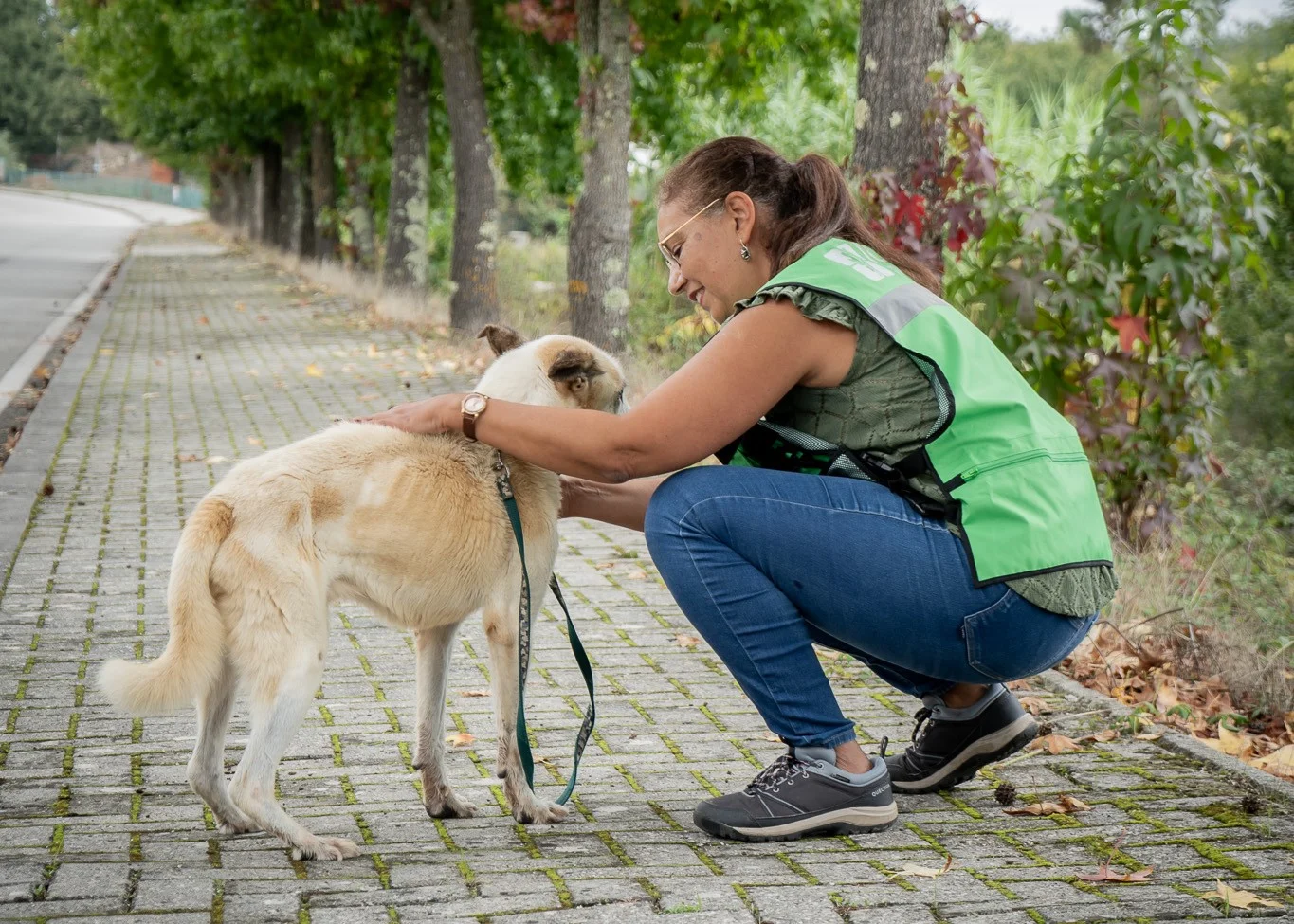 Esterilização Tondela